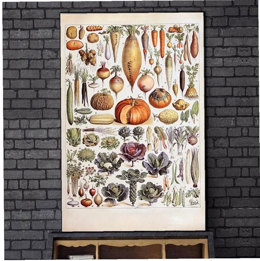Amazon.co.jp: ヴィンテージ果物野菜ポスタープリント植物識別